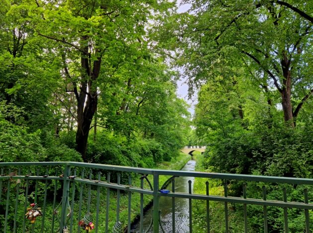 Słoneczny poniedziałek. Ile będzie stopni?