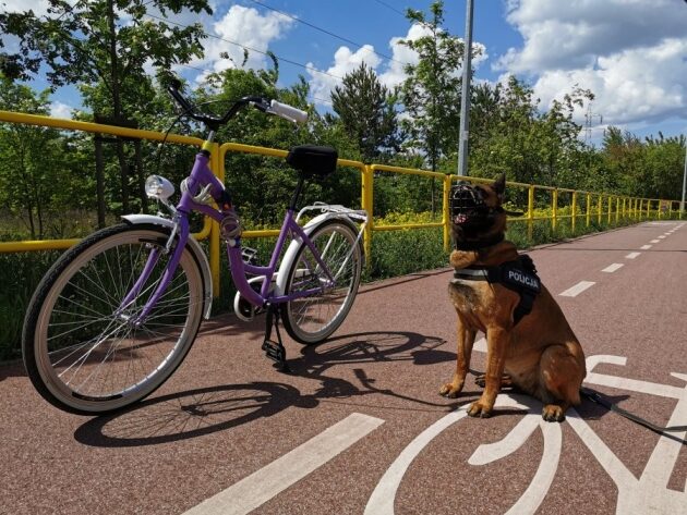 Coraz więcej kradzieży rowerów w powiecie białostockim. Jak tego uniknąć?