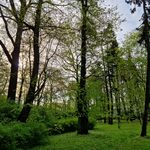 Z początkiem tygodnia temperatura nieco spadnie