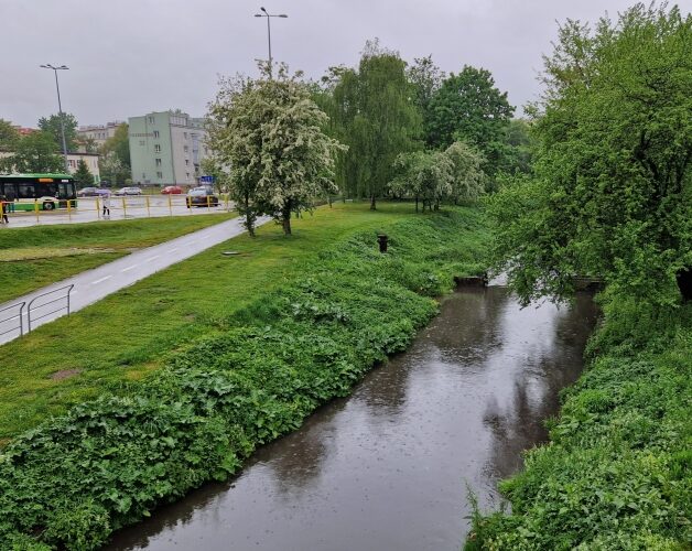 Do końca roku pozostało 200 dni