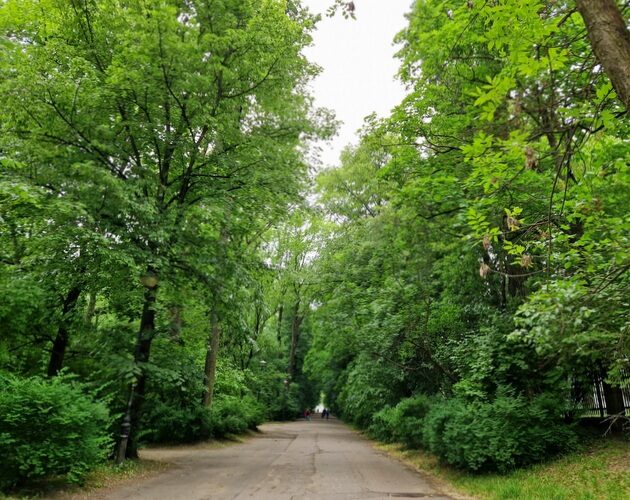 Z początkiem tygodnia temperatura znacznie wzrośnie