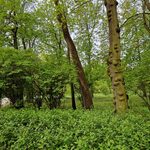Piątek wciąż ciepły, ale bardziej deszczowy