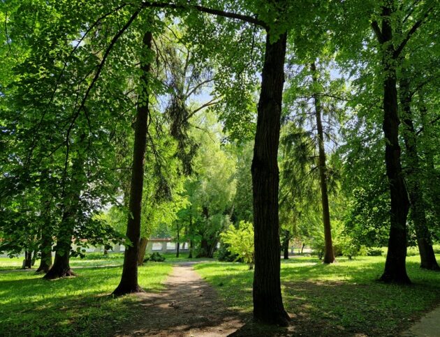 Gorący początek tygodnia. Mogą być burze