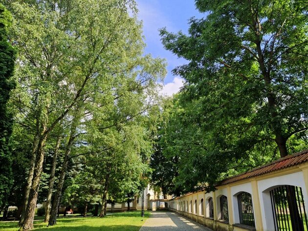 Ostatni dzień czerwca zapowiada się na pogodny