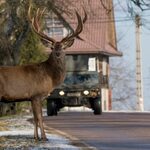 Pasjonuje cię fotografia i Podlasie? To konkurs dla Ciebie 