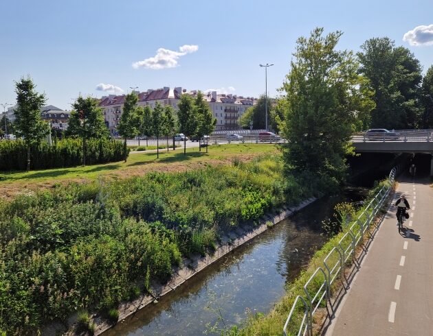 Czwartek pogodny, ale biomet znów będzie niekorzystny