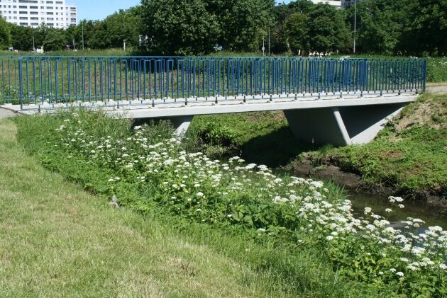 Temperatura spada - to koniec afrykańskich upałów