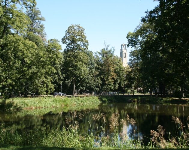 Temperatura nieco spadnie. Pojawi się też deszcz