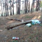 Śmieci przy ul. Sybiraków, nielegalna wycinka drzew przy ul. Orzeszkowej
