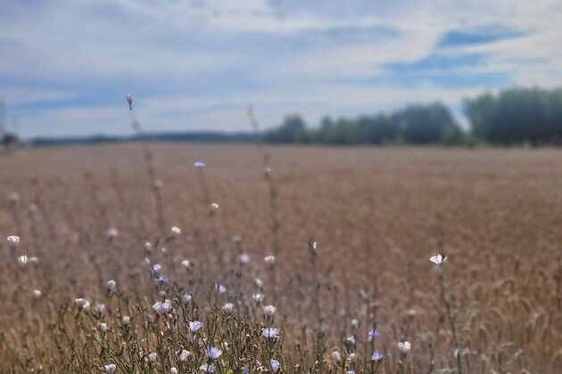 Wtorek pochmurny z przejaśnieniami, ale bez deszczu