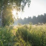 Będzie gorąco. Ostrzeżenie meteorologiczne przewiduje 2 stopień upałów