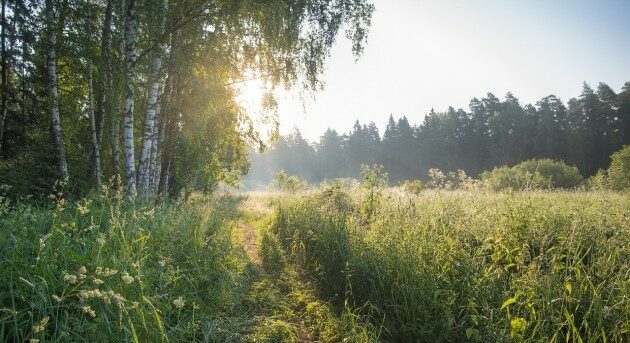 Będzie gorąco. Ostrzeżenie meteorologiczne przewiduje 2 stopień upałów