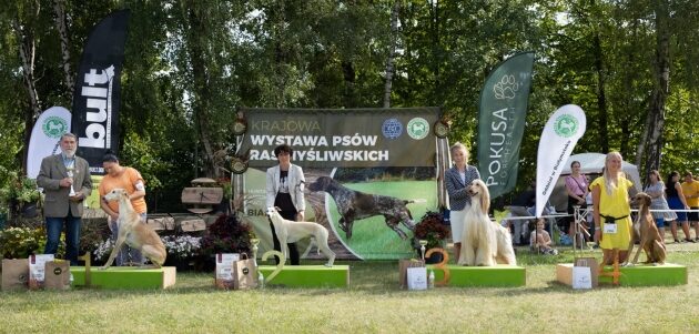 Wystawa psów w Białymstoku. Zgłoszono ponad 2 tys. czworonogów