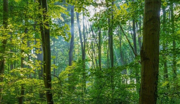 Jaką pogodę przyniesie ostatni poniedziałek sierpnia?