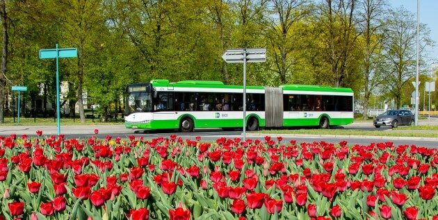 Piknik rodzinny i prezentacja nowych, białostockich autobusów 