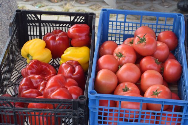 Gdzie kupimy najtańsze owoce i warzywa? Porównujemy ceny [ZDJĘCIA]