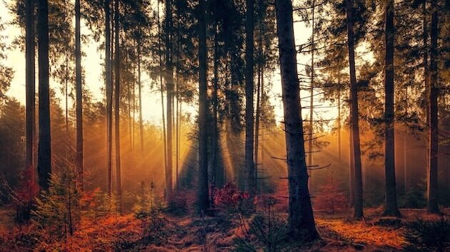 Październik wita nas jesiennym chłodem