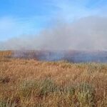 Pożar w Biebrzańskim Parku Narodowym. Strażacy walczą z ogniem