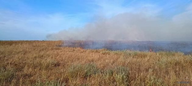 Pożar w Biebrzańskim Parku Narodowym. Strażacy walczą z ogniem