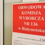 Wybory 2023. Jak głosować? [INFORMATOR]