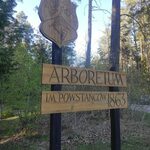 Ogród botaniczny na Podlasiu? Jest bliżej, niż nam się wydaje! [ZDJĘCIA]