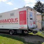 Mammobusy w Podlaskiem - gdzie je spotkamy w listopadzie? 