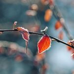 Pogoda na wtorek. Tegoroczna jesień powoli przemienia się w zimę 