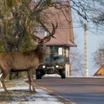 "Podlasie w obiektywie". Kto zostanie laureatem?