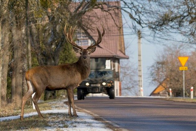 "Podlasie w obiektywie". Kto zostanie laureatem?