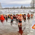 Morsy weszły do wody. Na termometrach było -10°C [ZDJĘCIA]