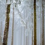 Czwartek przyniesie nam ocieplenie i obfite opady deszczu ze śniegiem 