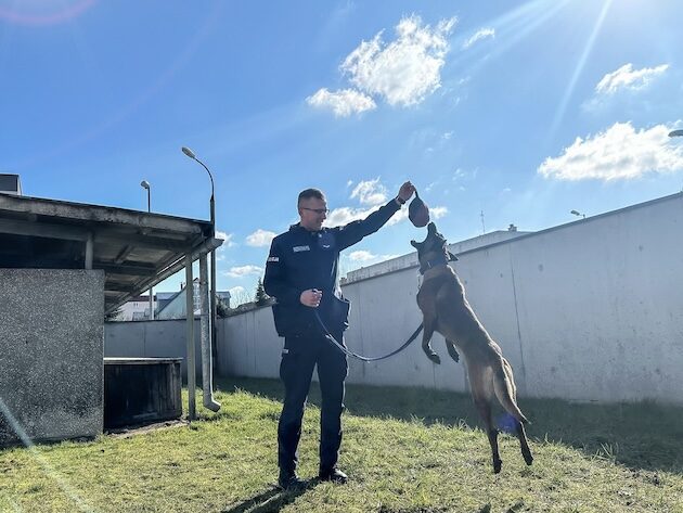 Nowy czworonożny funkcjonariusz w szeregach podlaskiej policji