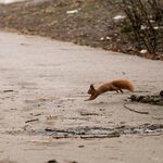 Idzie wiosna, idą porządki. Wielkie sprzątanie w mieście