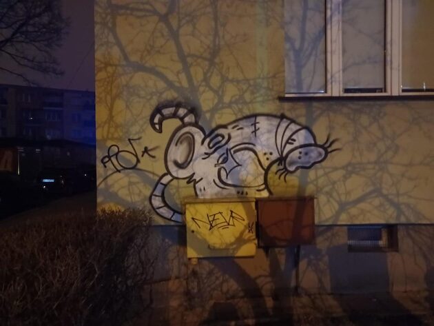 Białostocka policja łapie graficiarzy