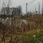 Zaniedbany teren zamieni się w miejsce do rekreacji i wypoczynku