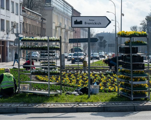 Miasto pięknieje. Trwają wiosenne nasadzenia