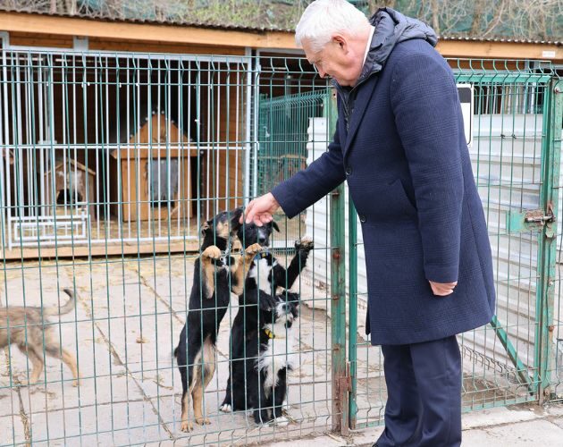 Schronisko dla zwierząt "Dolina Dolistówki"  zostanie rozbudowane. Za 2,3 miliona złotych