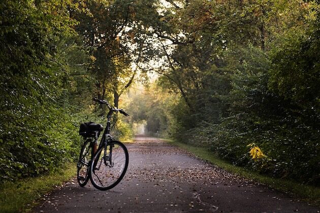 Weekend na Podlasiu. 7 najbardziej malowniczych tras rowerowych blisko Białegostoku