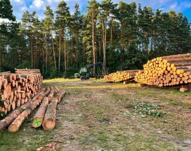 Protest branży drzewnej w Białymstoku. To już we wtorek