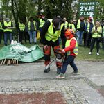 Widmo bankructwa. Podlaska branża drzewna woła o pomoc