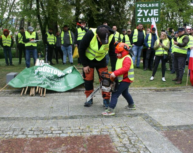 Widmo bankructwa. Podlaska branża drzewna woła o pomoc