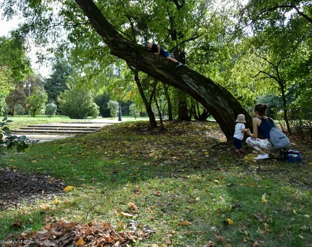 Nie masz pomysłu na spacer? PTTK Białystok ma gotową propozycję