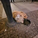 W centrum Białegostoku wyrzuciła psa z balkonu. Zakończył się proces apelacyjny