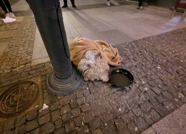 W centrum Białegostoku wyrzuciła psa z balkonu. Zakończył się proces apelacyjny