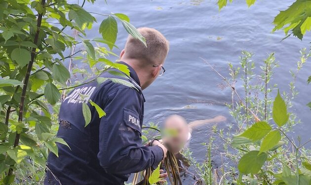 Biegał nago po ulicach miasta. Później wskoczył do kanału 