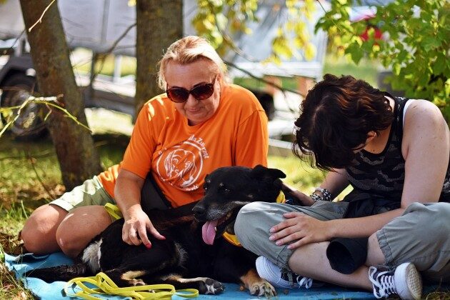 Nadchodzi majowy Piknik z Psem. To okazja do poznania czworonogów ze schroniska