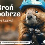 Podlaska kampania o bezpieczeństwie jest hitem internetu. W roli głównej zwierzęta