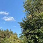 Czwartek w pełnym słońcu. Ani jednej chmurki na białostockim niebie