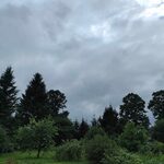 Deszczowo, ale dość ciepło. Sprawdź prognozę pogody na środę 