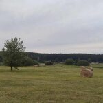 Weekendowy powrót upałów. W niedzielę znów będzie ekstremalnie